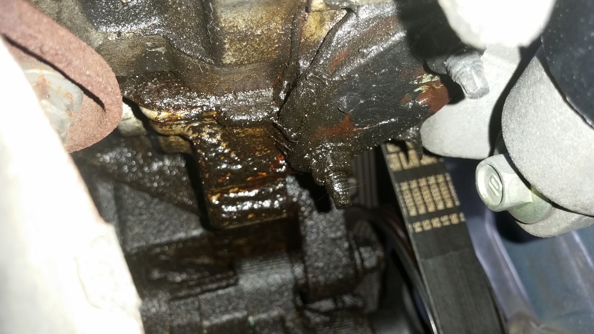 DIY 20032008 Corolla, Matrix, Pontiac Vibe 1ZZFE Timing Chain